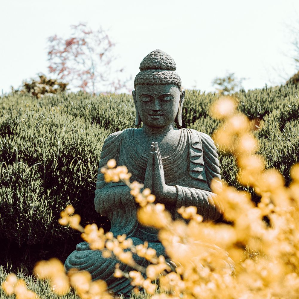 Gartenführung Fernost: Aromatherapie in TCM & Ayurveda – Elemente, Doshas & Düfte im Einklang